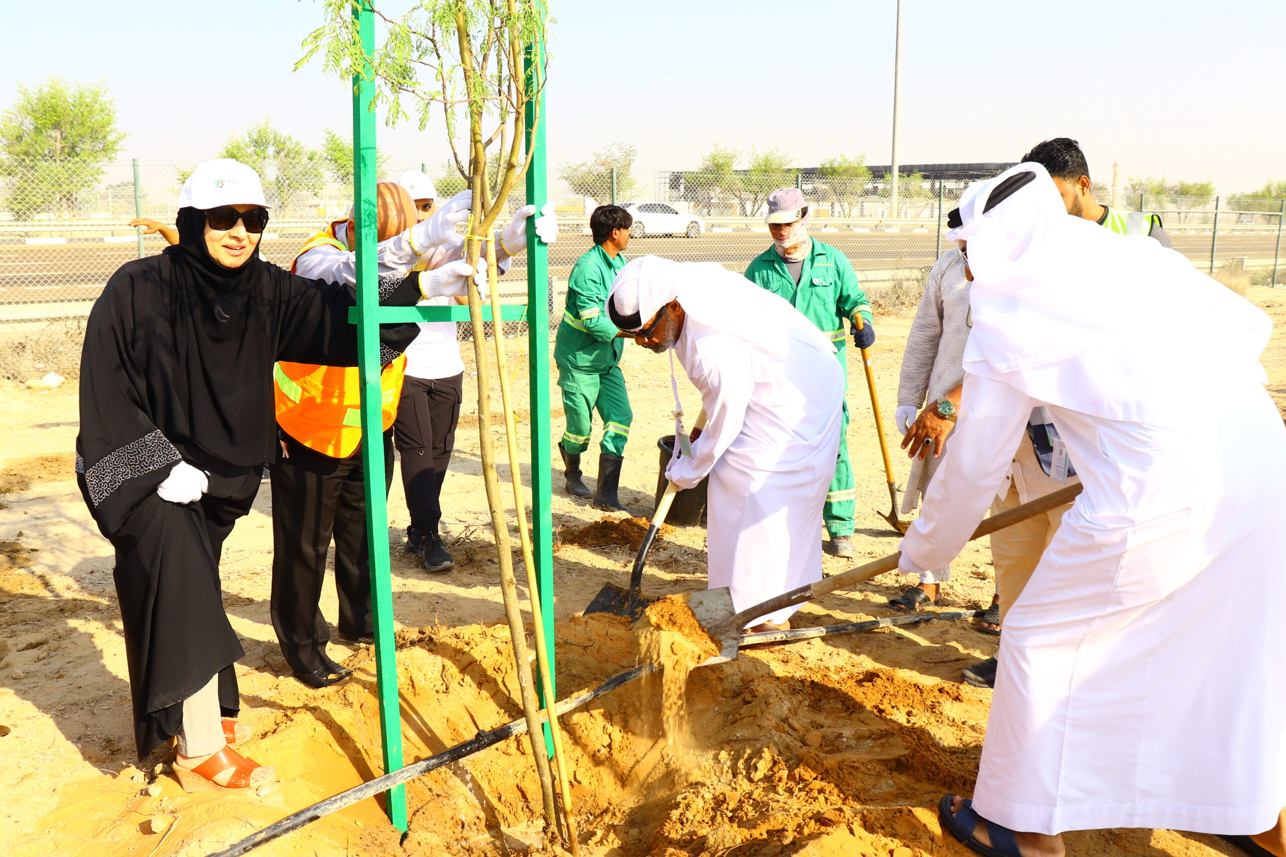 Emirates Environmental Group commences the annual afforestation drive. 