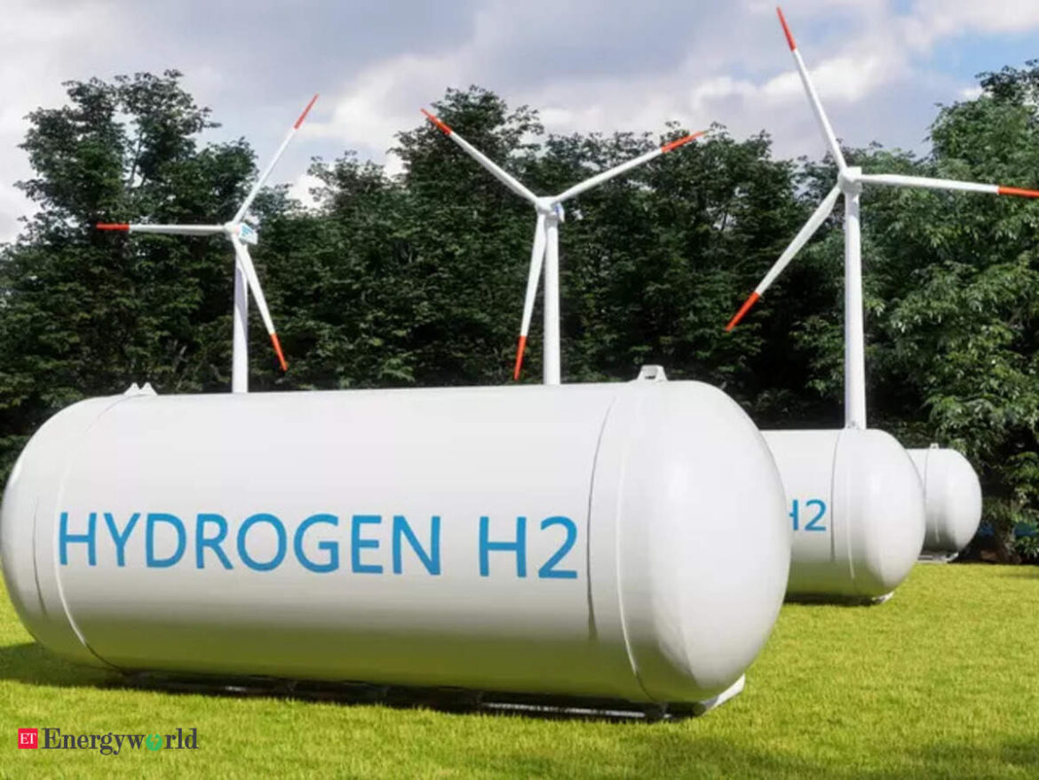 Tree Energy Solutions and Fortescue Future Industries team up to develop world’s largest green hydrogen integrated project