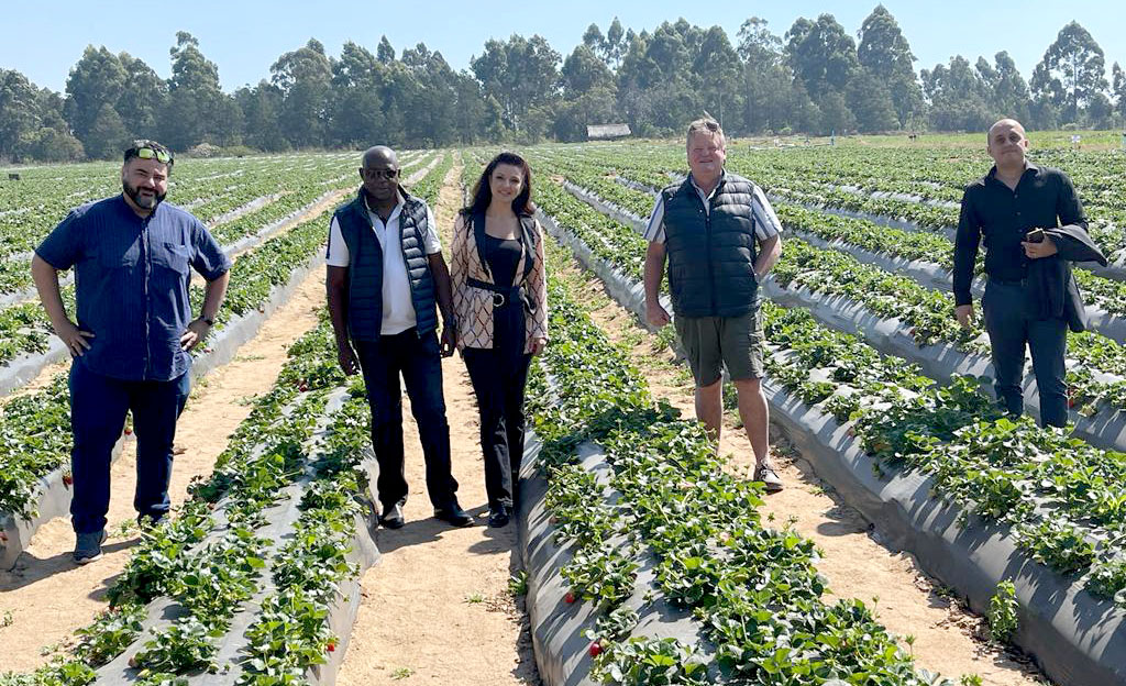 Dubai International Chamber supports Zimbabwean agriculture company expand in Dubai