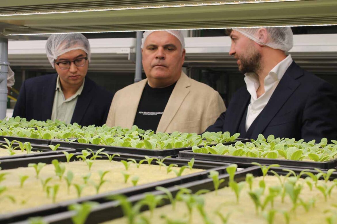 “Greeneration” An Innovative Food Hub Launches in Dubai Introduces over 70 new types of home-grown crops and other food concepts