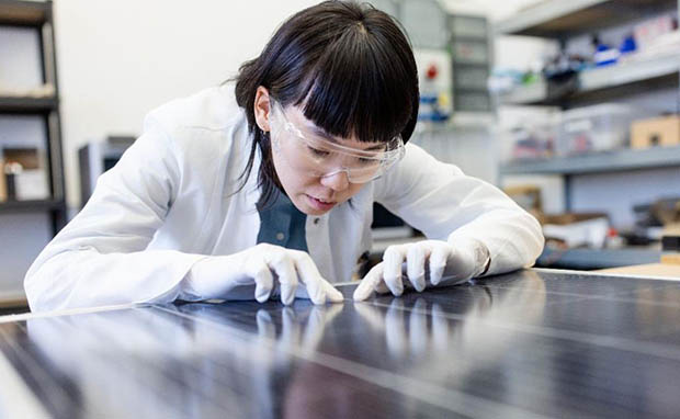 Renewables Jobs See First Slowdown Amid Global Deployment Growth